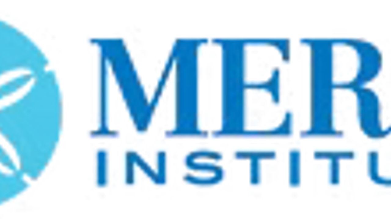 Mertit Institute