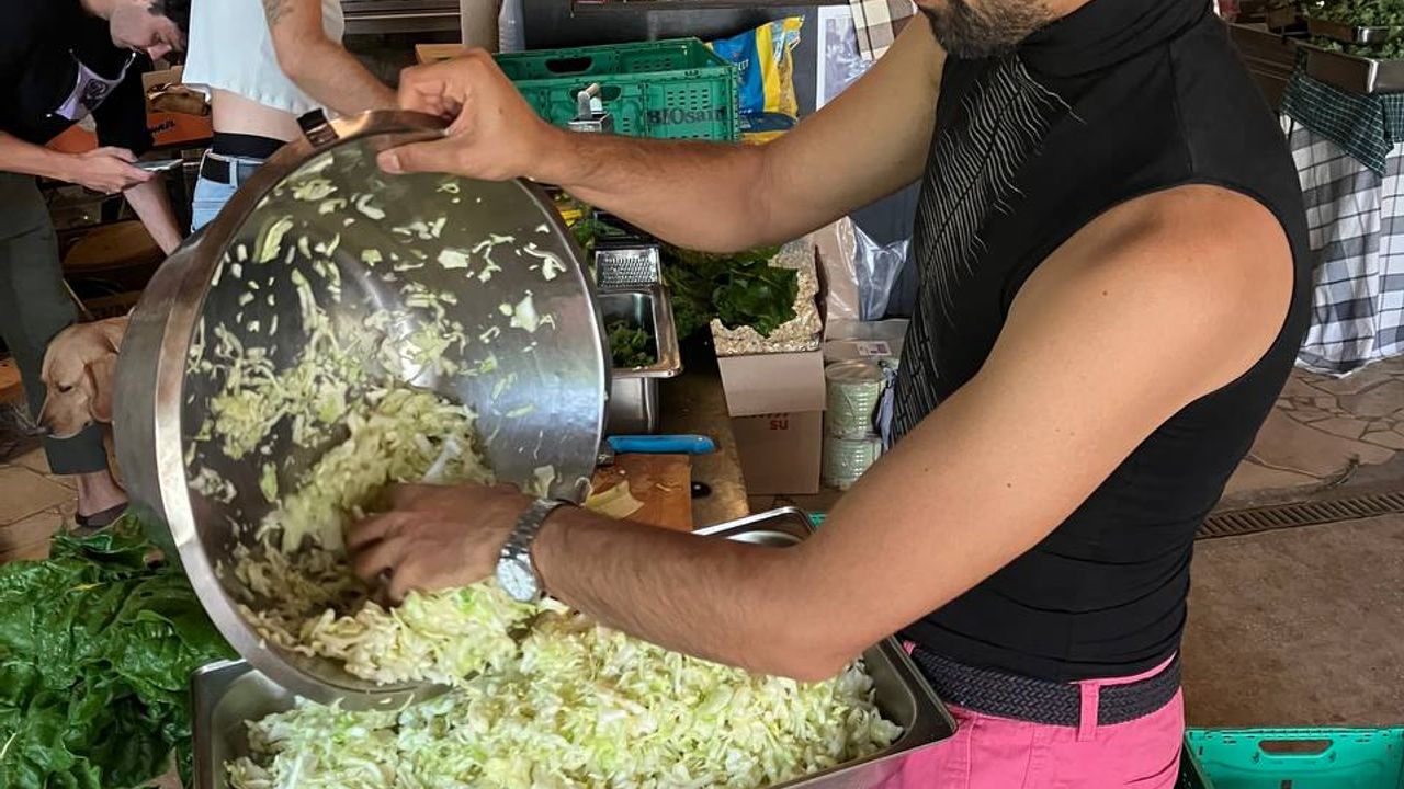 Person preparing cabbage salad