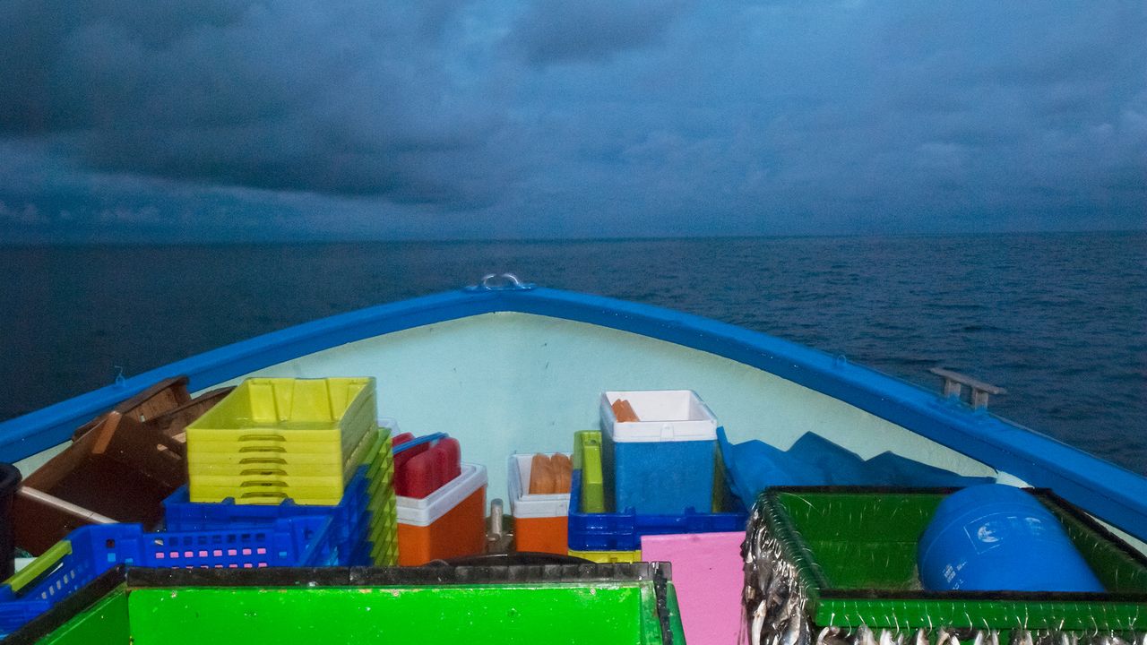 Devant du bateau vue sur l'horizon. Cageots de toutes les couleurs.