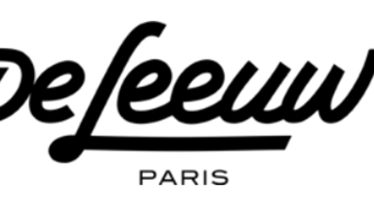 DE LEEUW Guitars