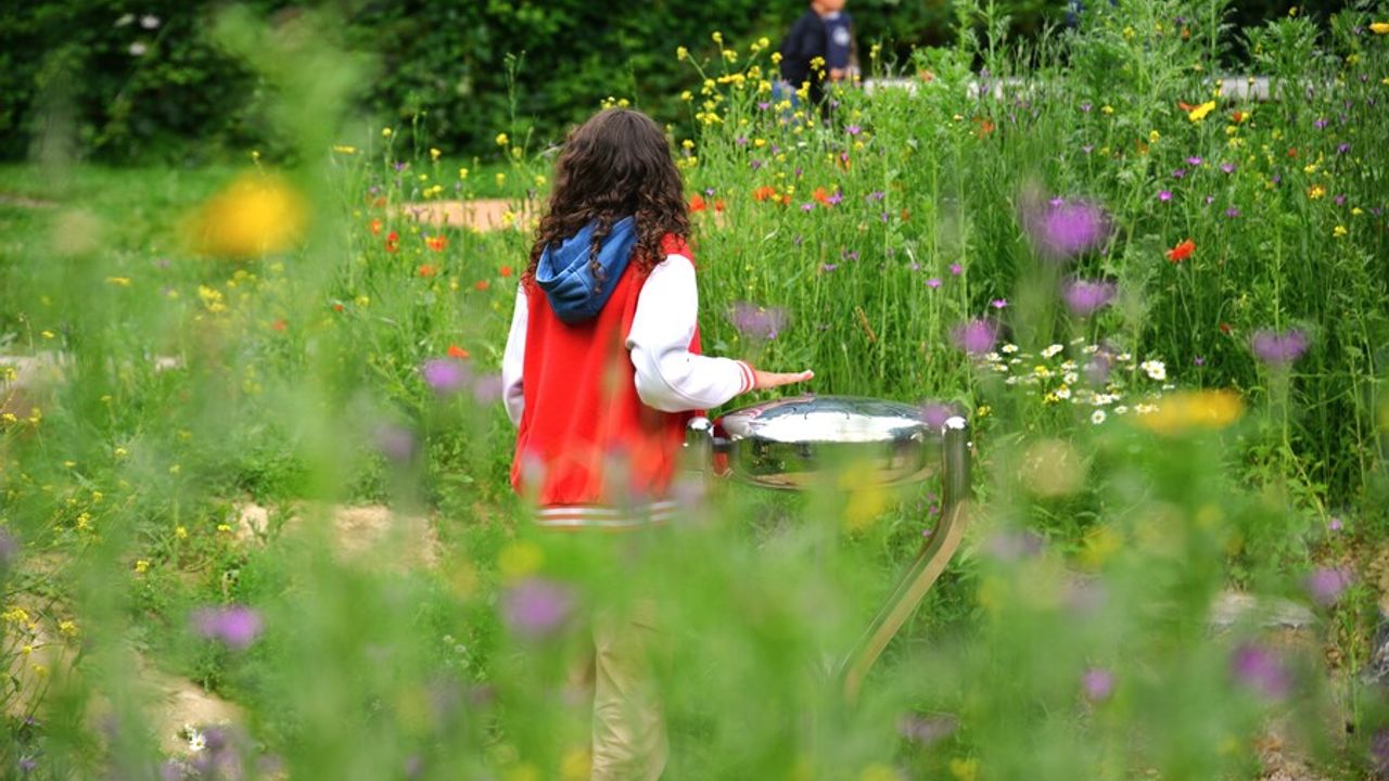 une enfant joue sur un tambour métallique entourée de plantes en fleur