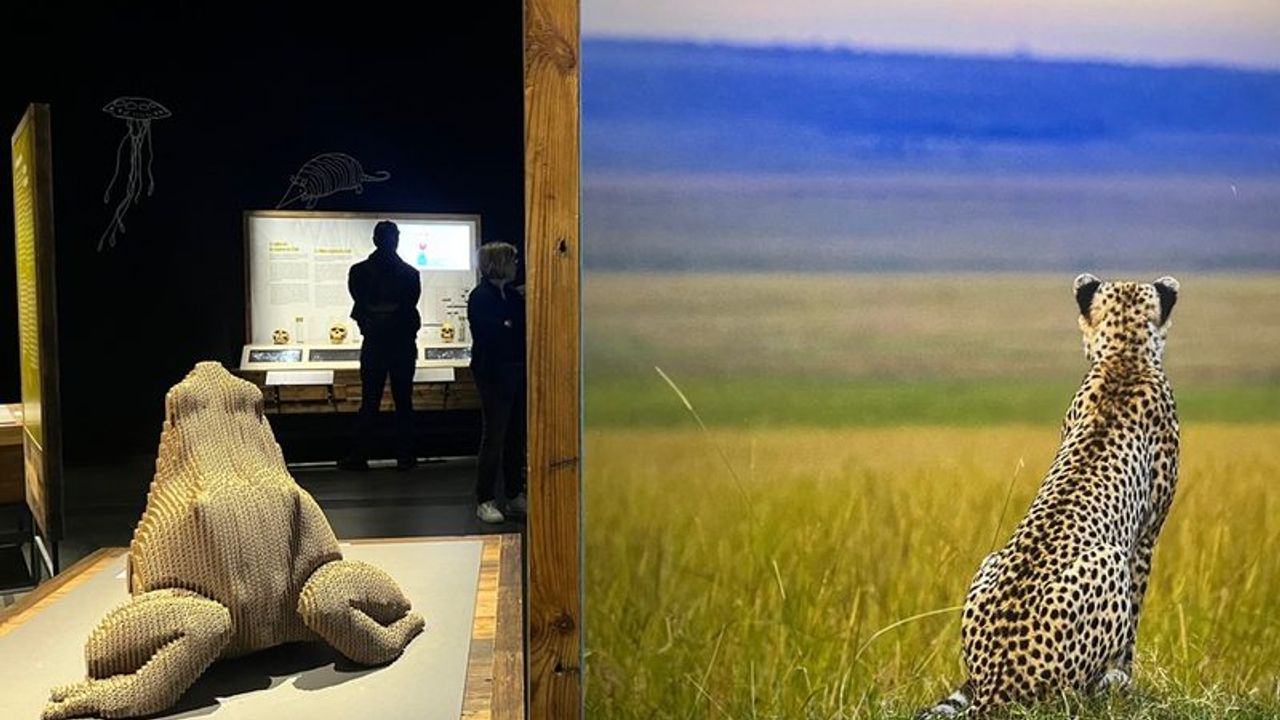 Au premier plan, la sculpture d'un ours des cavernes