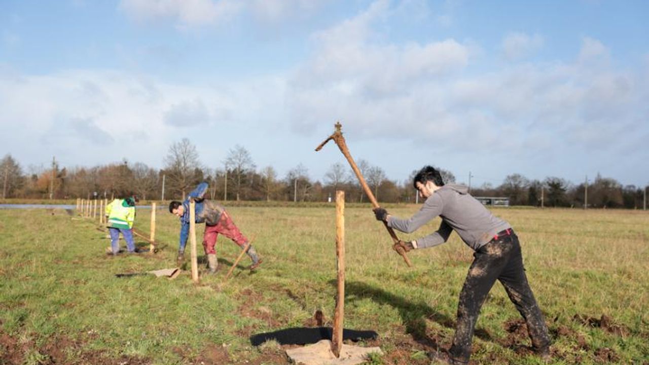Entre avril 2020 et avril 2024, la moitié du chemin a été parcouru avec 15 902 arbres plantés