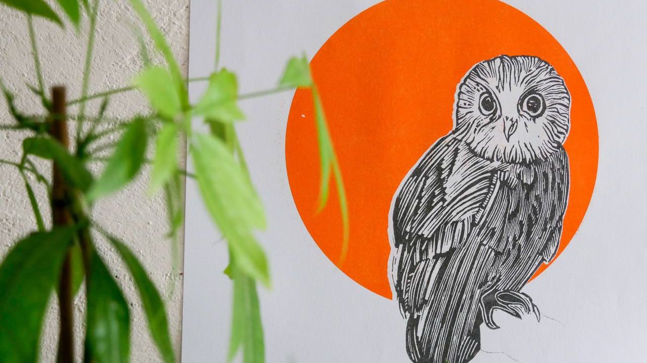 Affiche orange recto