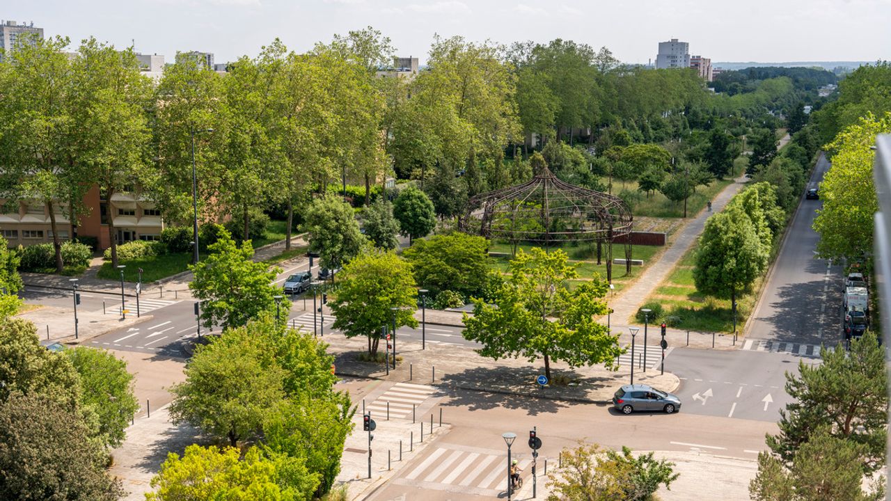 Vue en surplomb des plantations d'arbres avenue Henri Fréville
