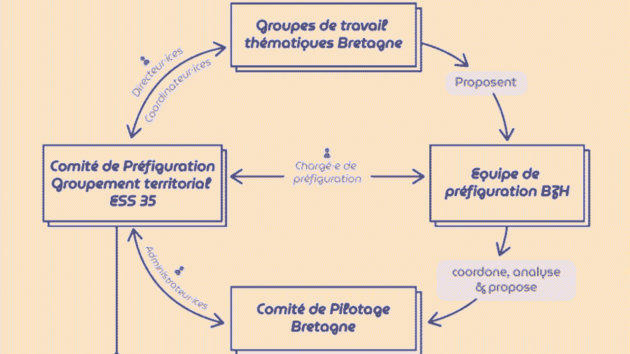 Schéma expliquant la réorganisation des pôles ESS en Bretagne.