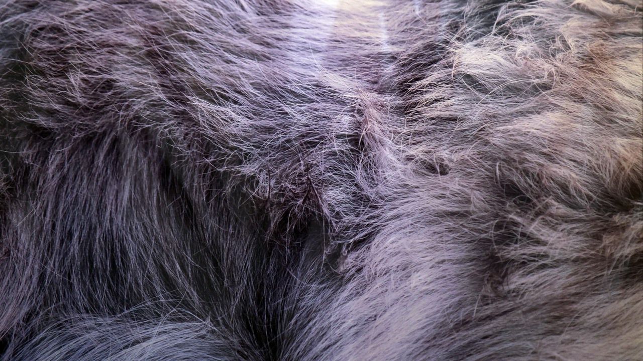 Pharetra elit leo blandit hendrerit