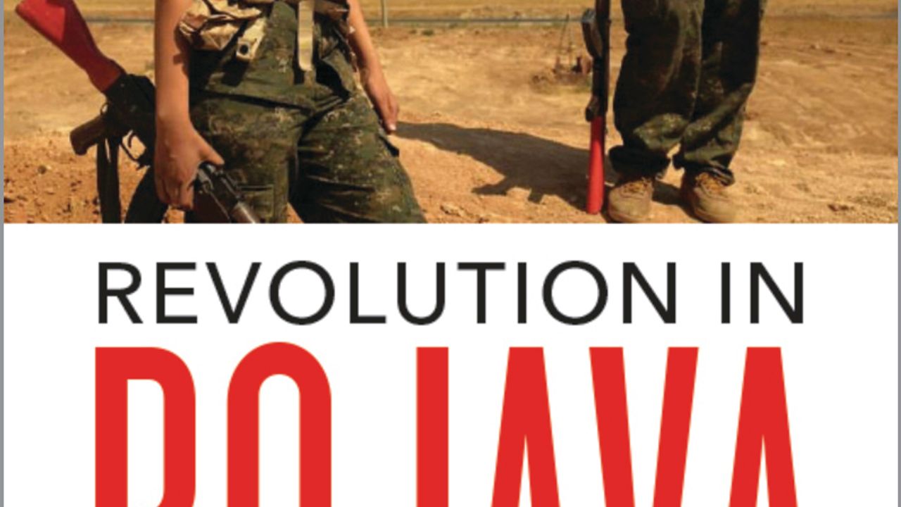 Revolution in Rojava book cover