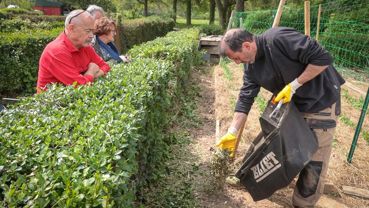 Formation pour réduire ses déchets au jardin, un homme réutilise ses tontes et enseigne la réutilisation à trois autres personnes présentes.
