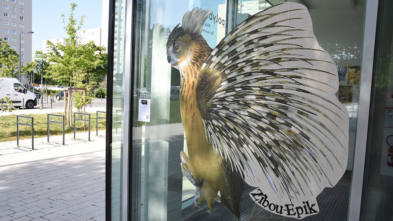 Sur une vitrine, un chimère collé entre hibou et porc-épic