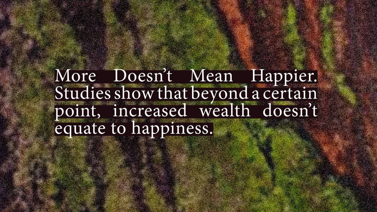 More doesnt mean happier. Studies show that beyond a certain point, increased wealth doesn't equate to happiness.