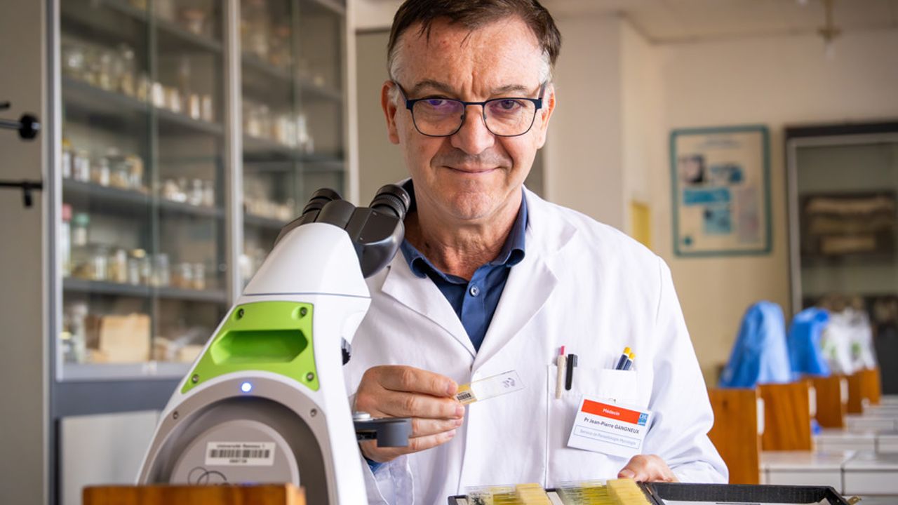Le professeur Jean-Pierre Gangneux tient un spécimen de puces entre deux lamelles de verre