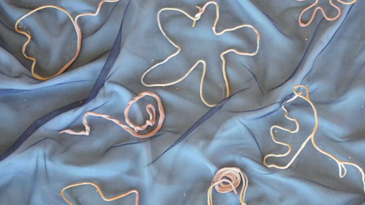 Des formes sont réalisées avec une corde sur un tissus bleu: une étoile, deux feuilles de chêne, deux tulipes, une fleur