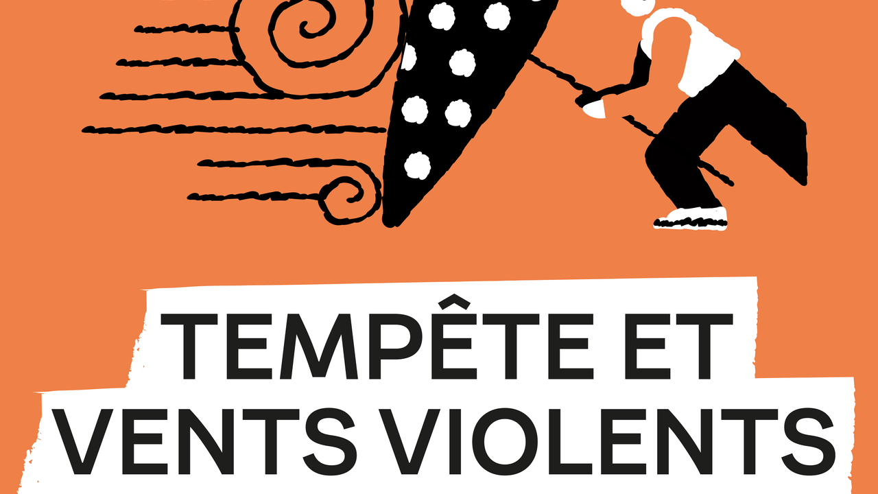 Risque naturel tempête et vent violent