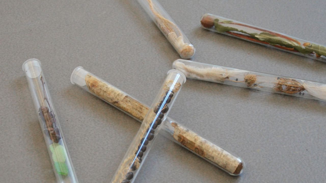 On voit les tubes en verre avec des bouchons en plastique éparpillés au sol.