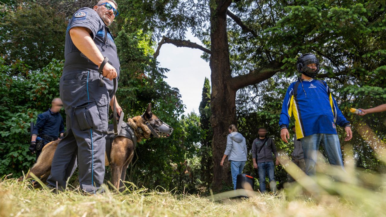 Des maîtres-chiens en entraînement à Rennes.