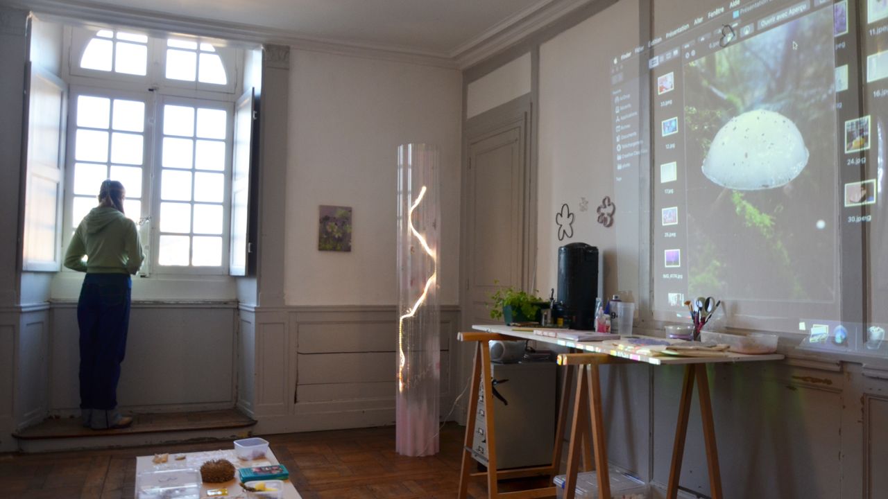 On voit l'atelier de Lucie Férézou avec la projection au mur d'une de ses photos de champignon. On peut y voir également d'autres œuvres réalisées par l'artiste et disposée dans un bel appartement boisé. Lucie regarde par la fenêtre.