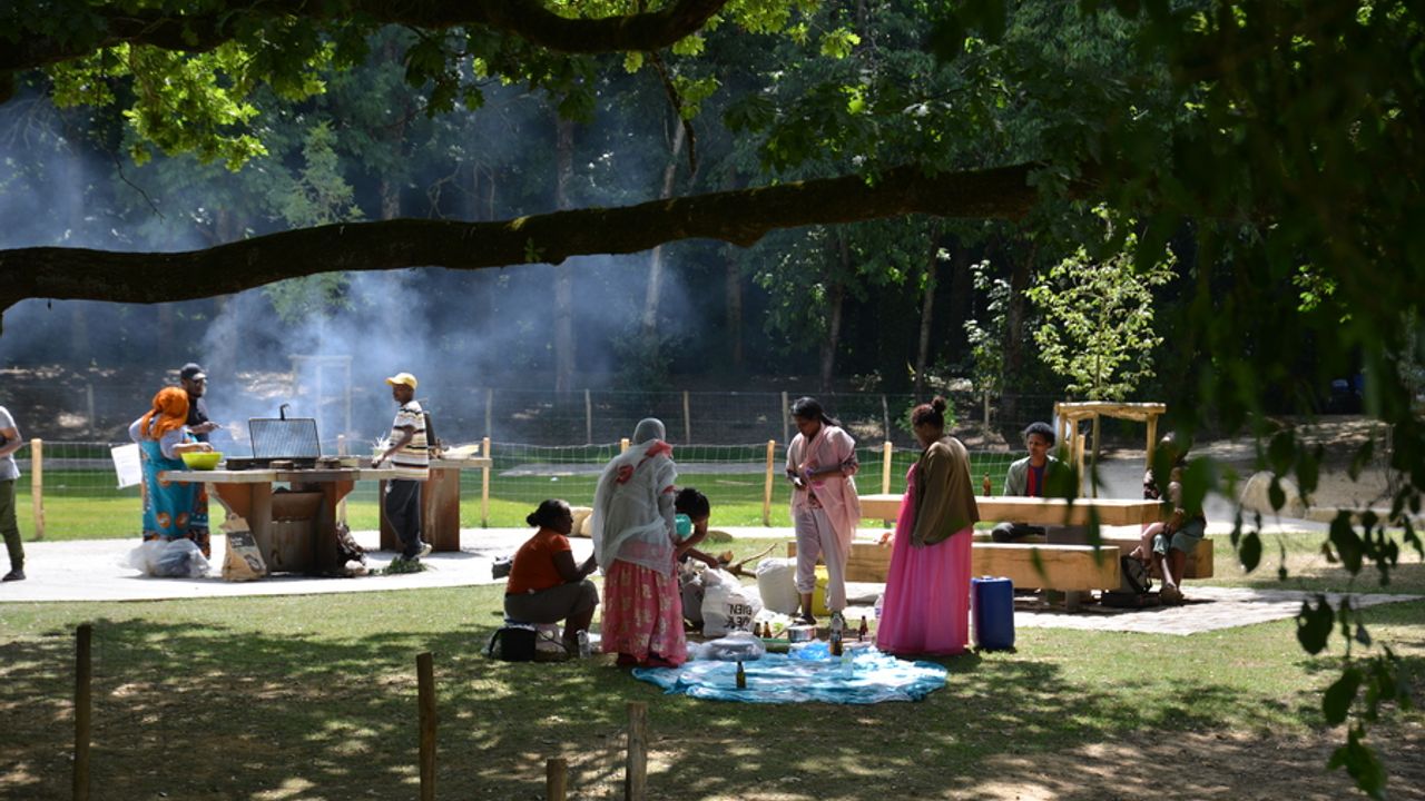 Vue de gens en train de pique-niquer