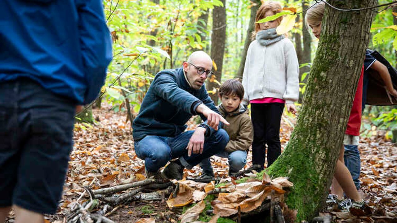 Un animateur montre aux enfants la mousse sur les arbres