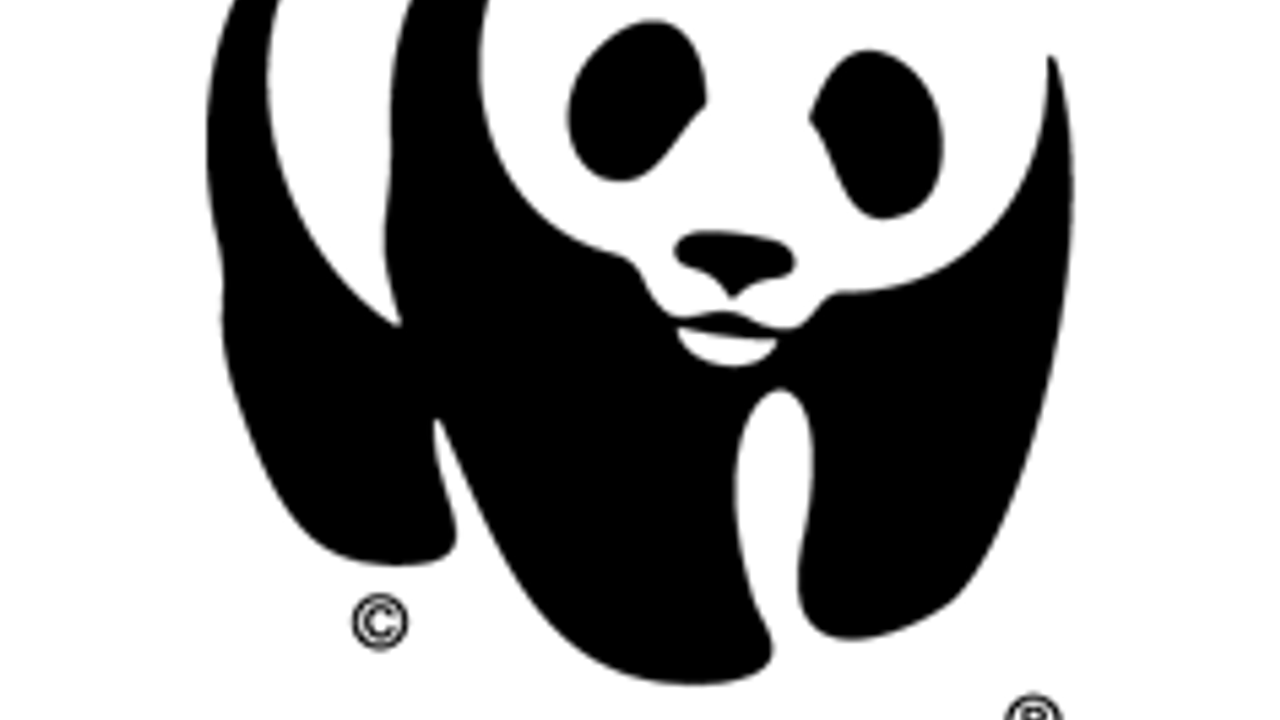 WWF