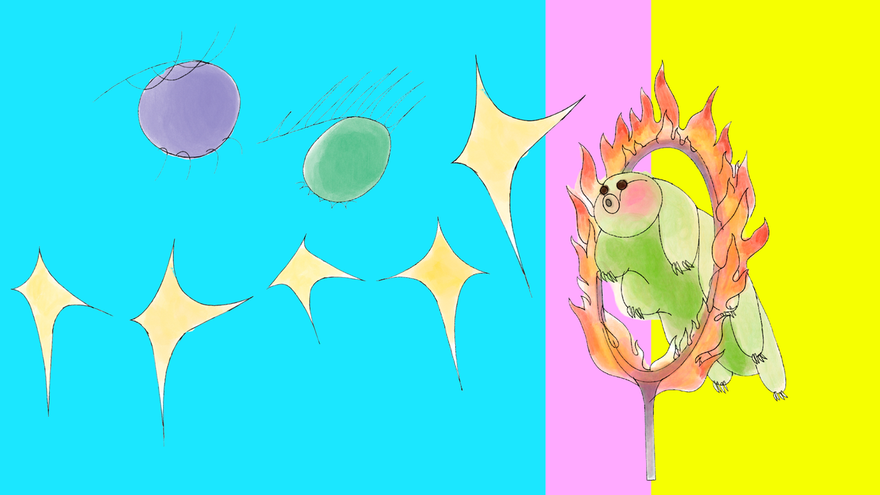 Visuel du festival Les Grands Yeux 2026