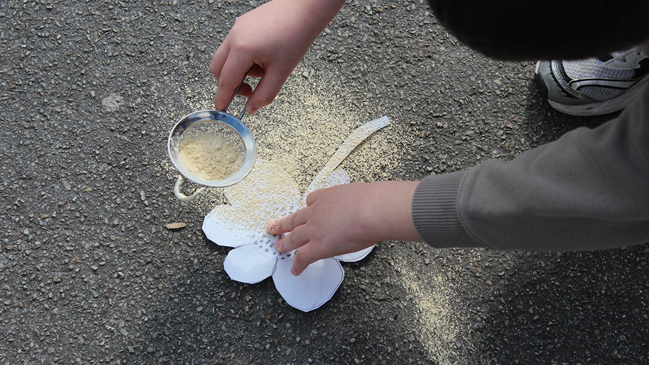 Un élève saupoudre de pigment jaune son pochoir en forme de fleur.