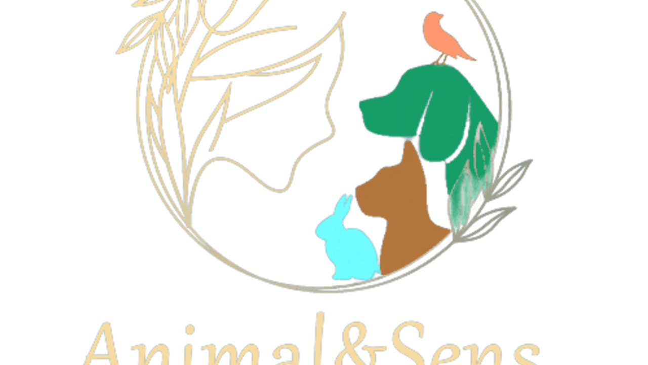 Animal&Sens