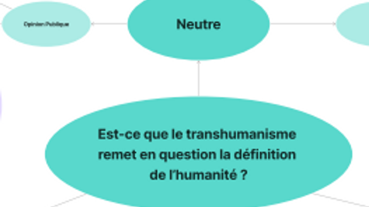 Extrait d'une image de la cartographie des controverses