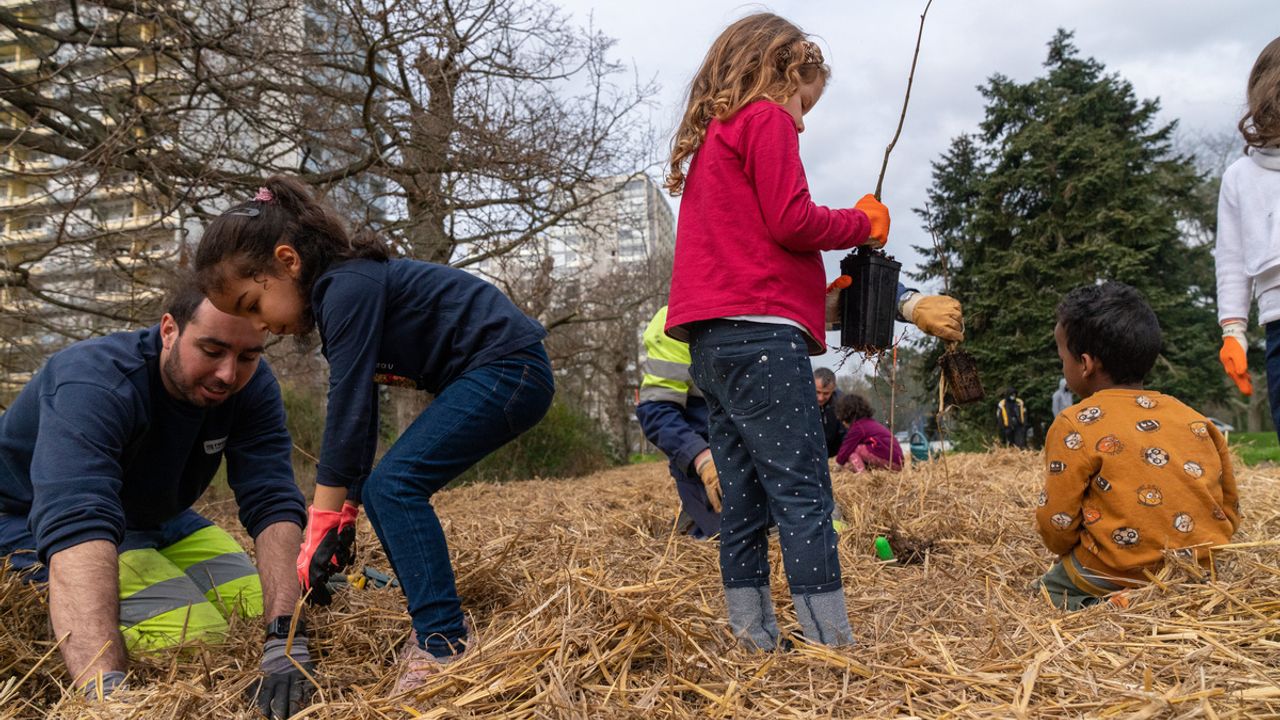 Des enfants en train de planter des arbres