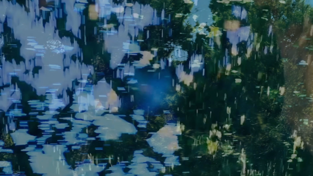 Chrystel Egal (photographe, vidéaste et écrivaine)