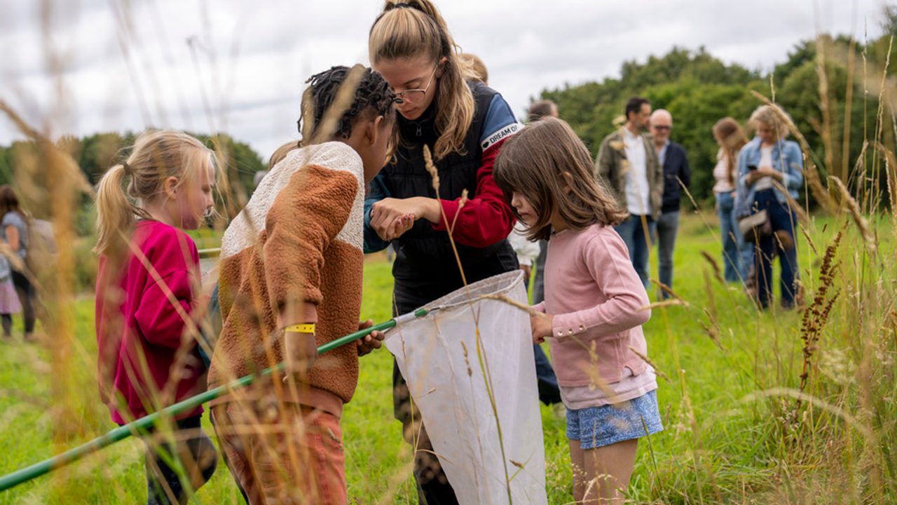 Des enfants chassent des insectes dans un champ avec une épuisette.