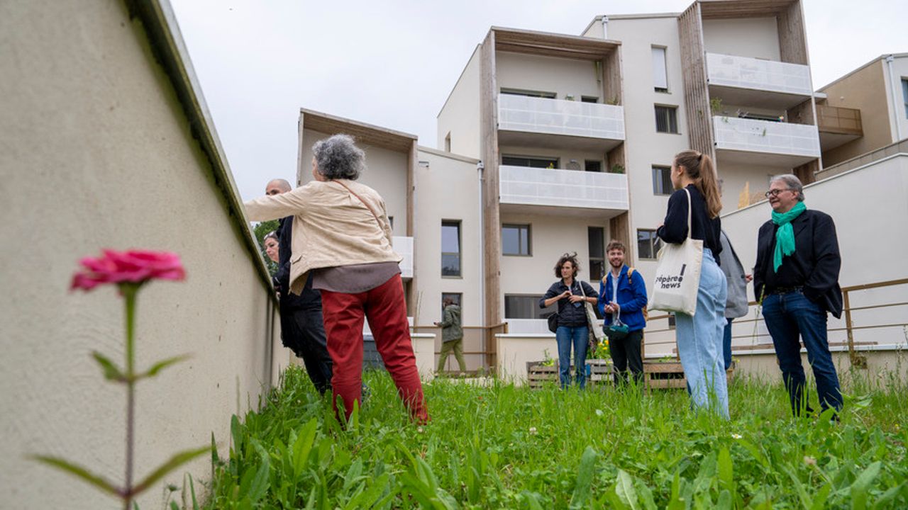 Visite du programme d'habitat participatif Kosmo dans le quartier Villejean à Rennes, en juillet 2024.