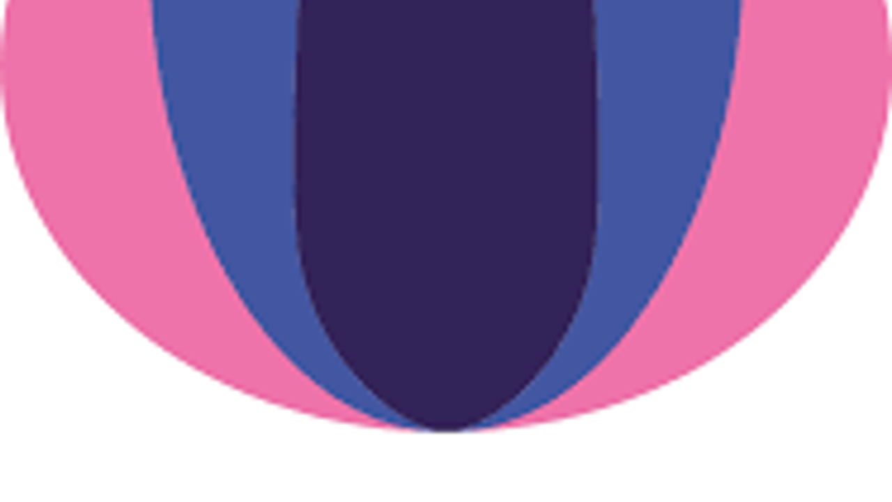 Arc International