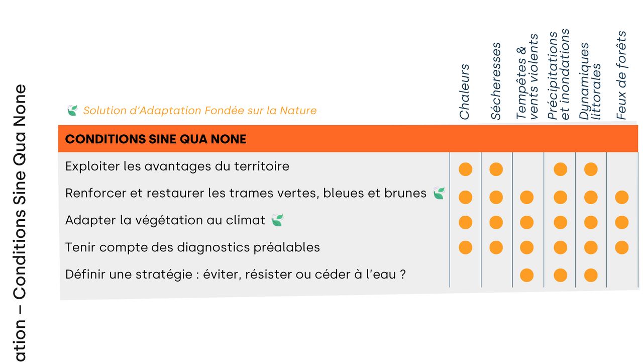 Conditions Sine Qua None