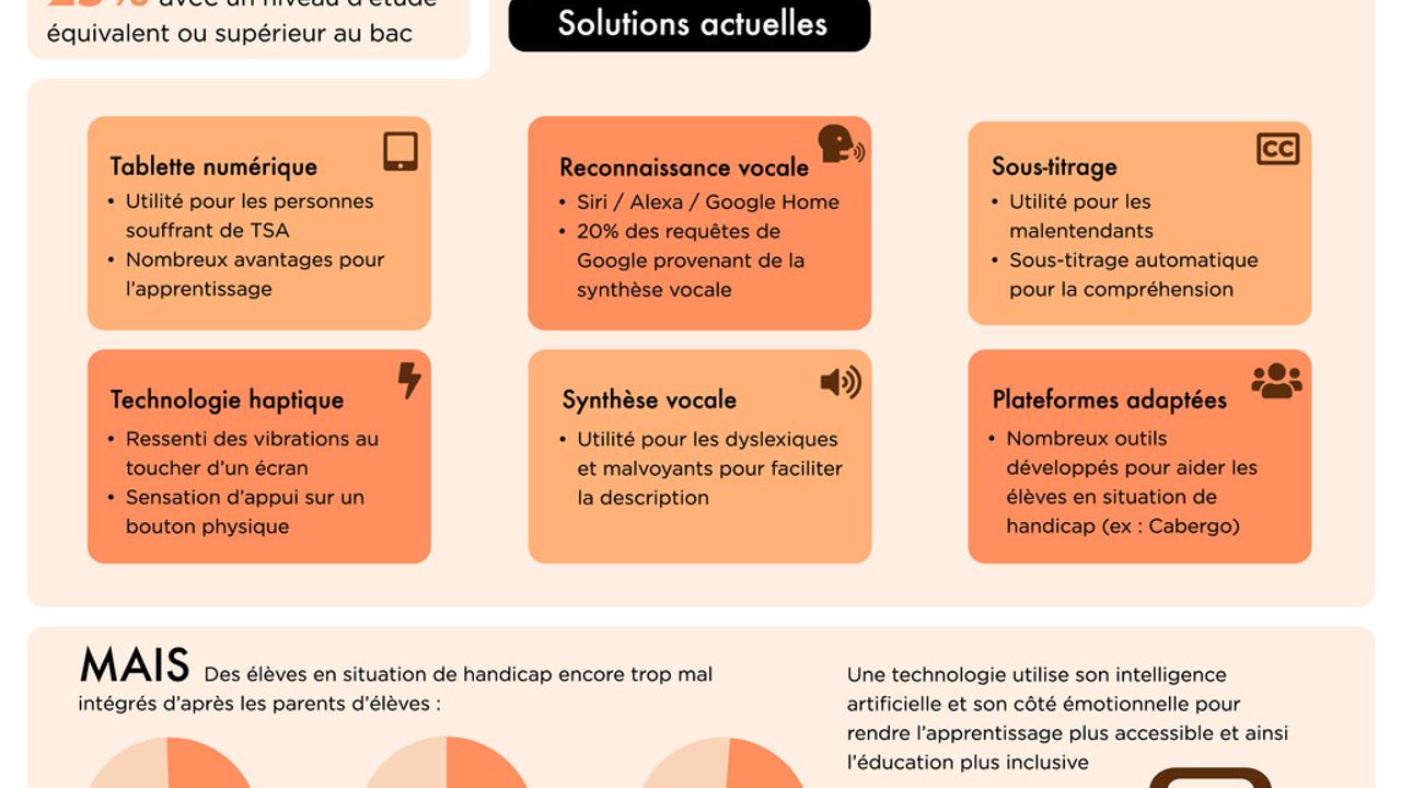 Infographie scientifique autour des technologies, des handicaps et de l'apprentissage scolaire en France