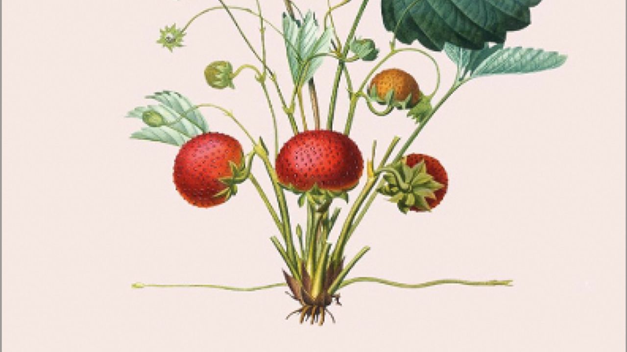 Radical Abundance book cover