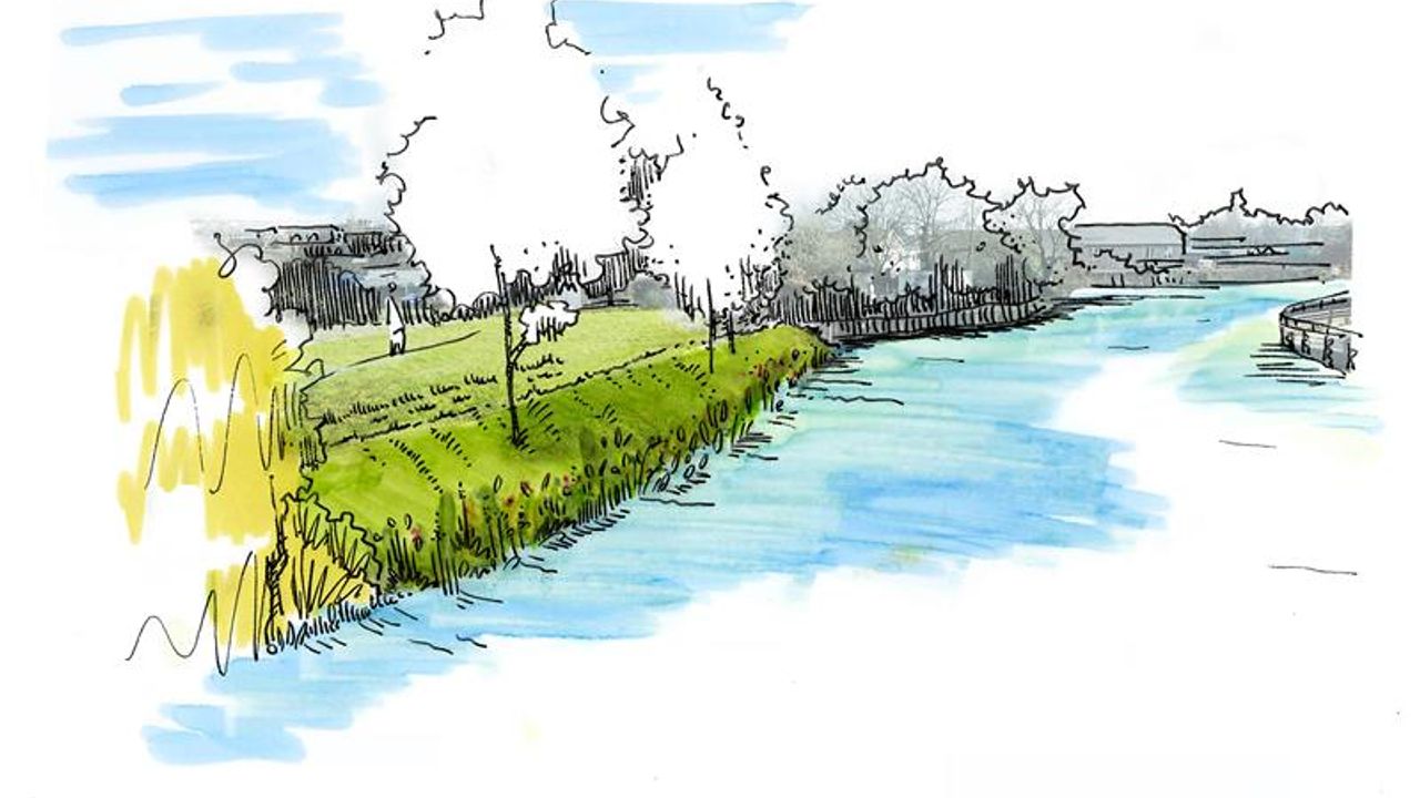 un dessin des berges de la Vilaine renaturées