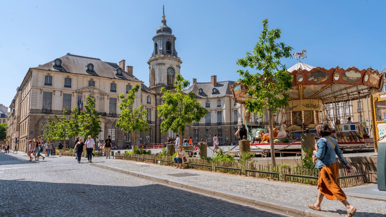 Vue des chênes de Hongrie place de l'Hôtel de Ville, avec la mairie en second plan
