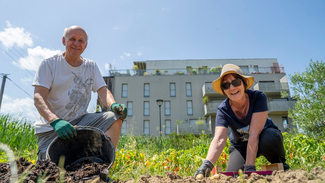 Un couple pose devant une parcelle enrichie grâce au compost.