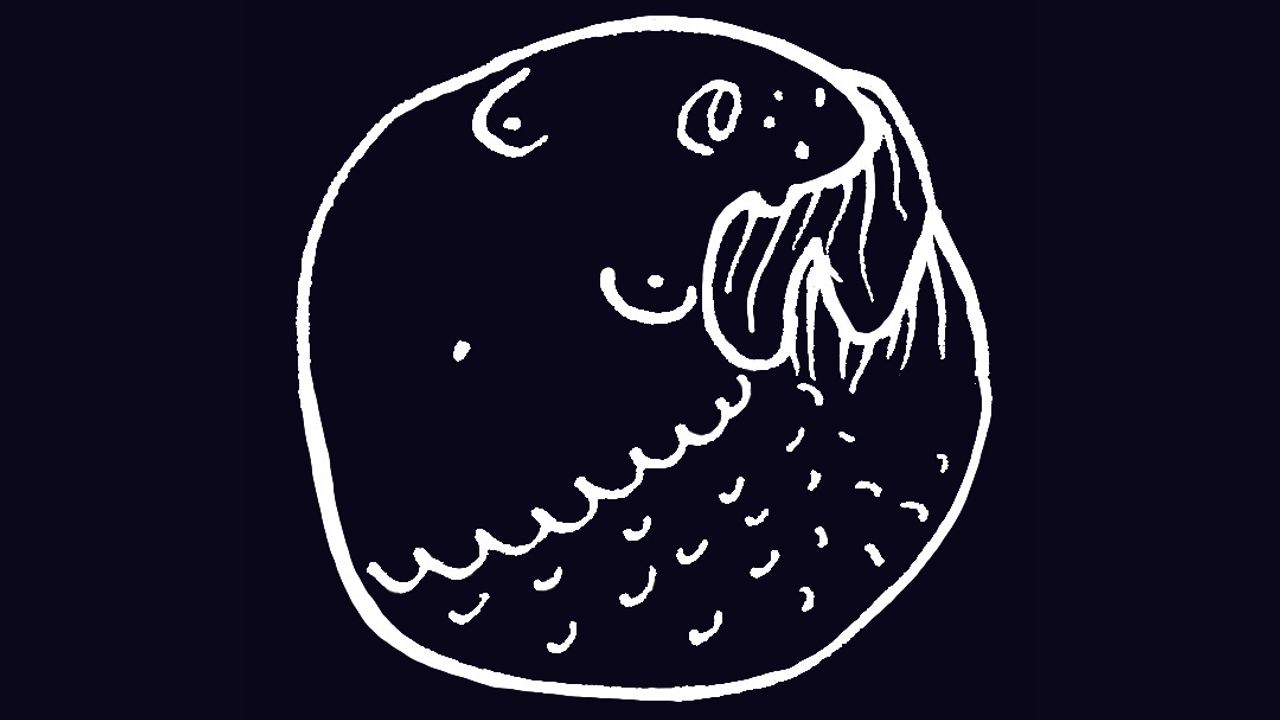 Collectif Stachmoule