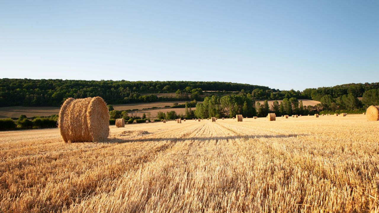 Dordogne - Champ de bottes de foin