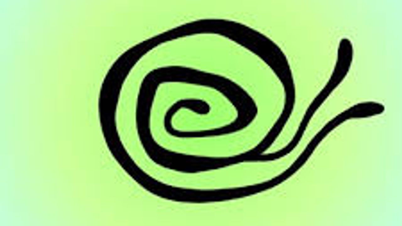 Degrowth Copenhagen Logo: spiral in the shape of a snail