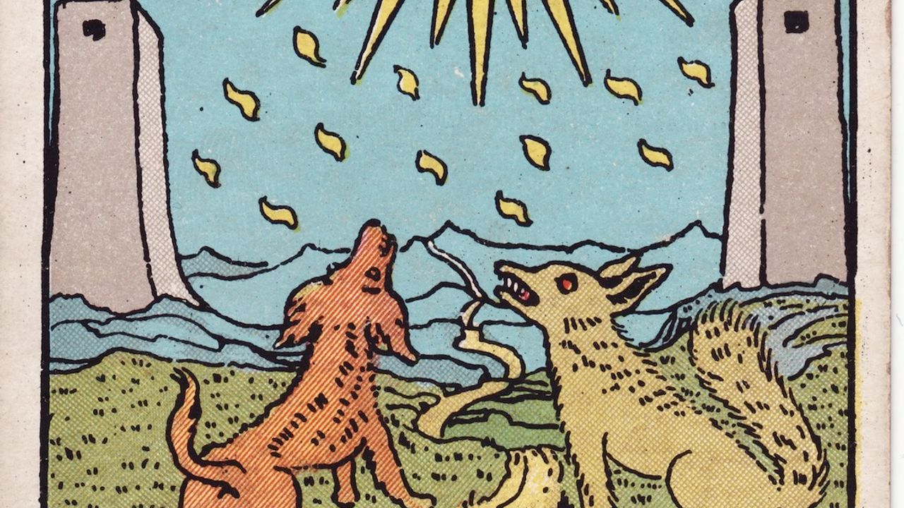 Tarot card: the moon