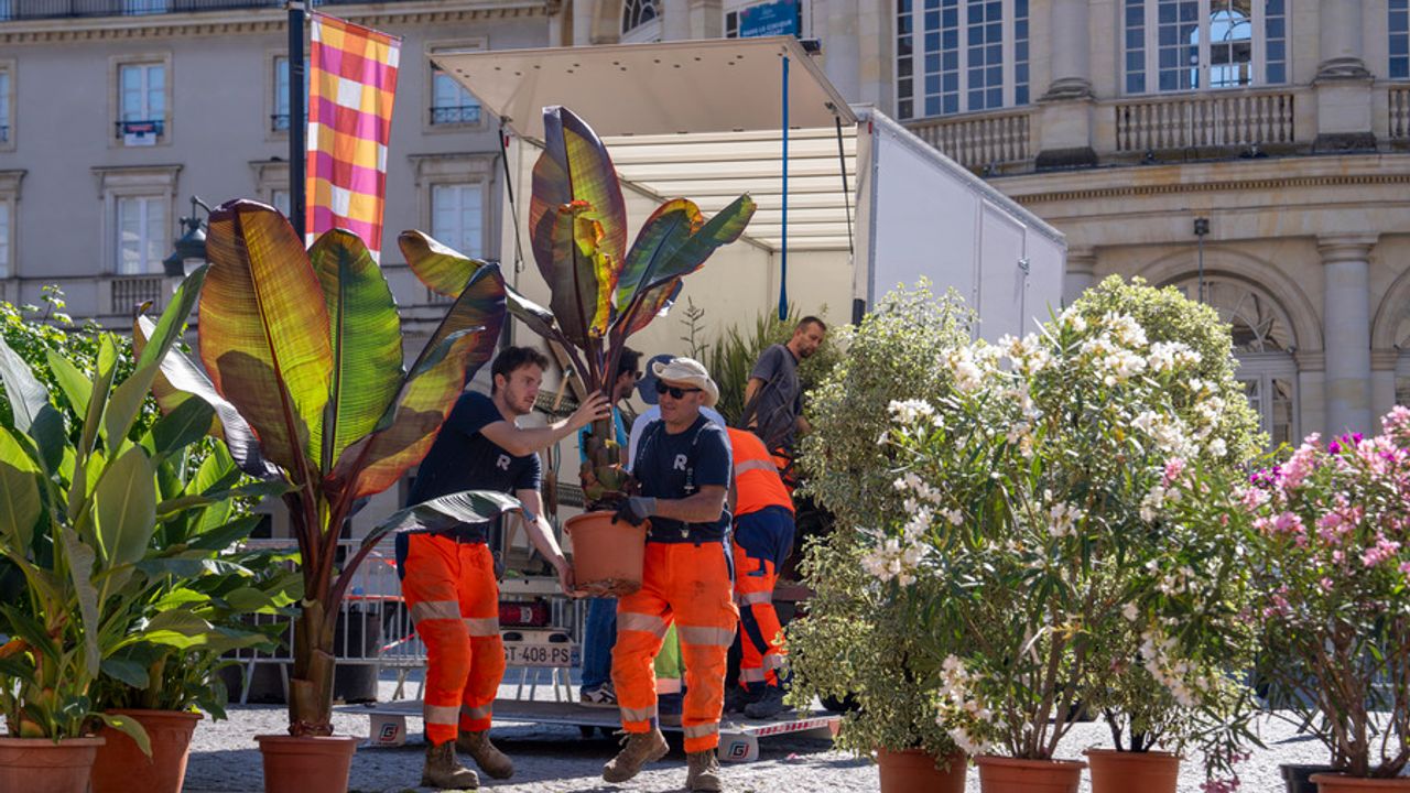 Des agents techniques soulevant des plantes