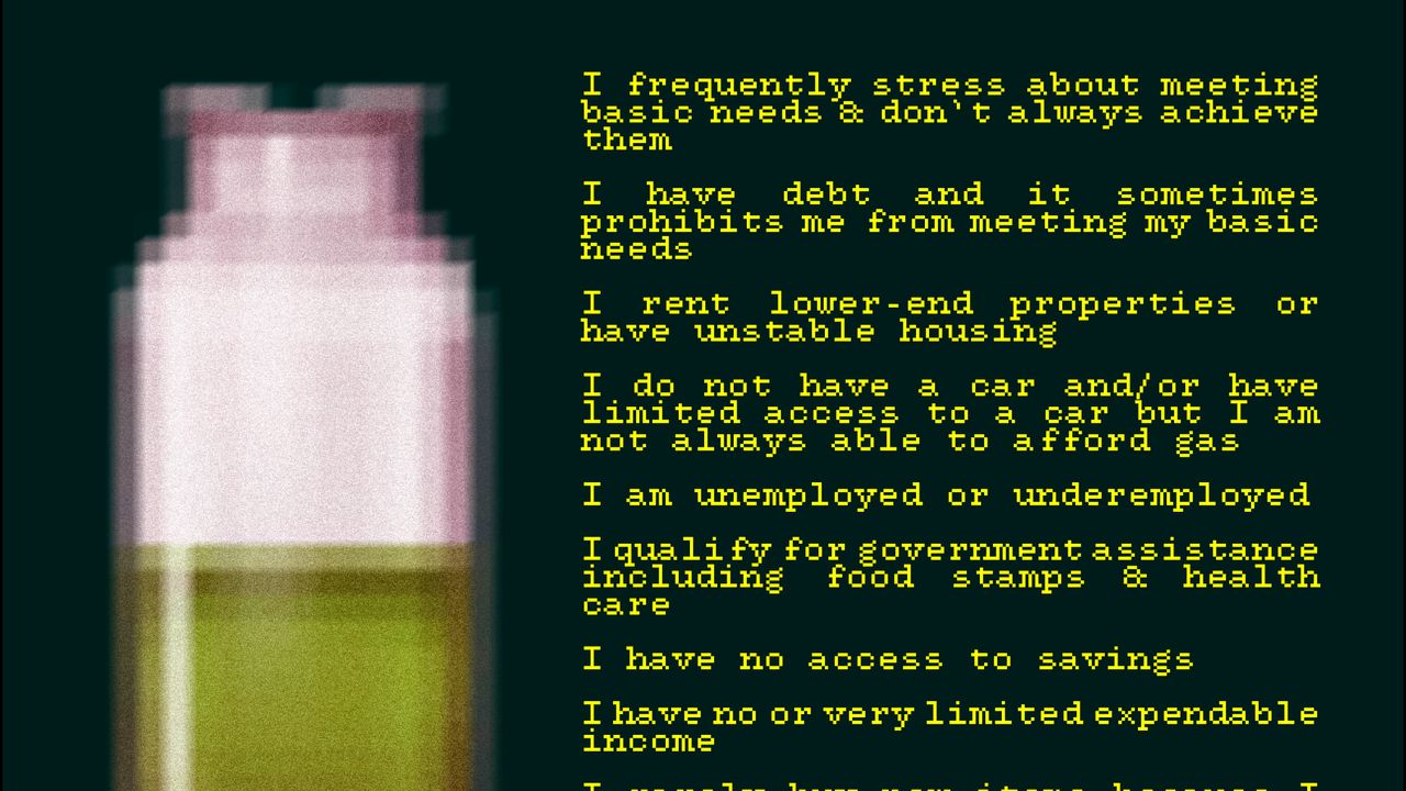 Personal financial experienceI frequently stress about meeting basic needs & don't always achieve themI have debt and it sometimes prohibits me from meeting my basic neddsI rent lower-end properties or have unstable housingI do not have a car and/or have limited access to a car but I am not always able to afford gasI qualify for government assistance including food stamps & health careI have no access to savingsI have no or very limited expendable incomeI rarely buy new items because I am unable to afford themI cannot afford a vacation or have the ability to take time off without financial burden