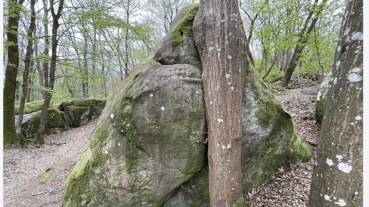 Dévers mais Jaune (3a)