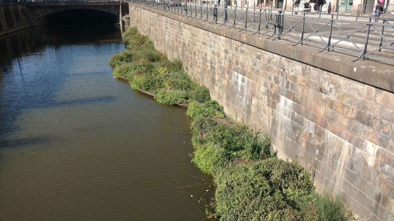 Les jardins flottants sur les bords de la Vilaine