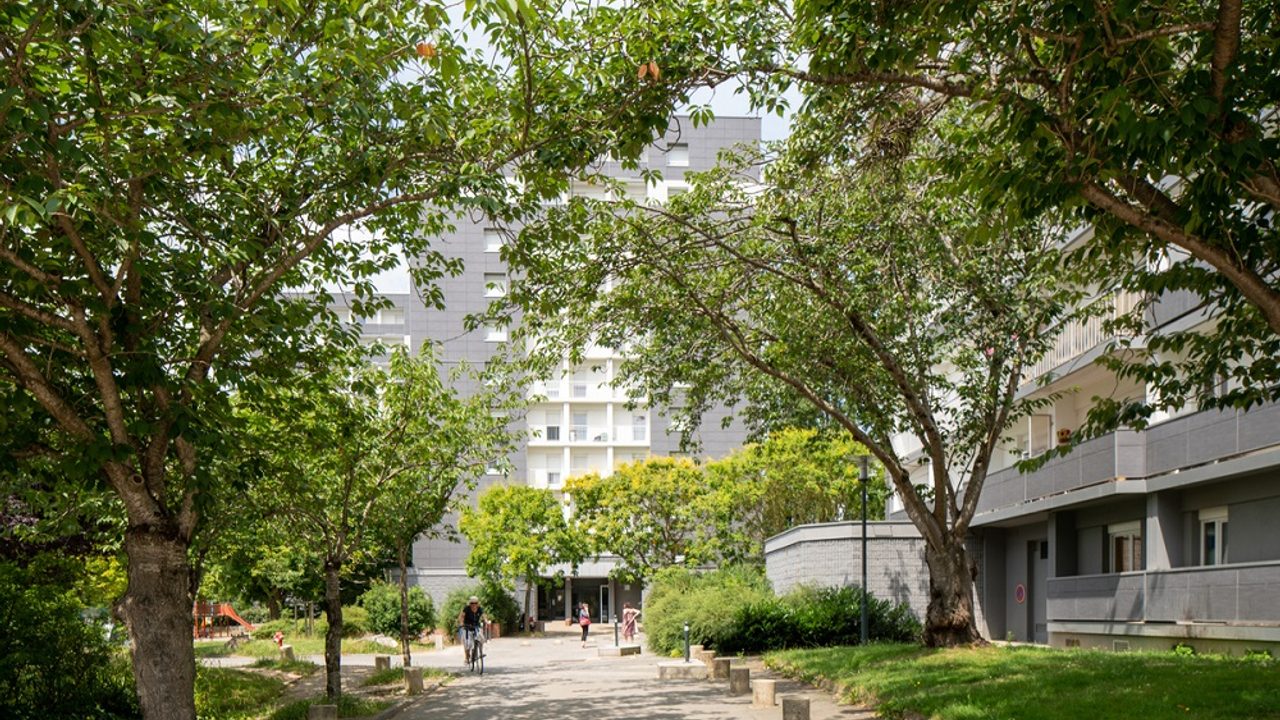 Des arbres aux abords de la place Jean Normand