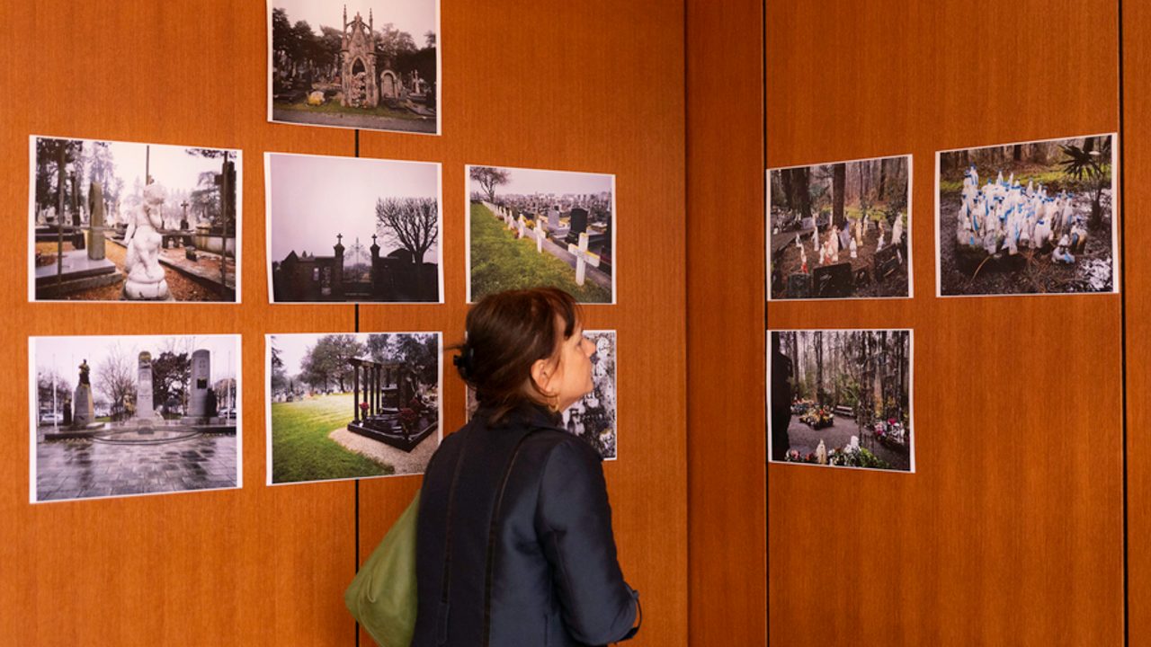 Une femme en train de regarder des photos lors d'une exposition