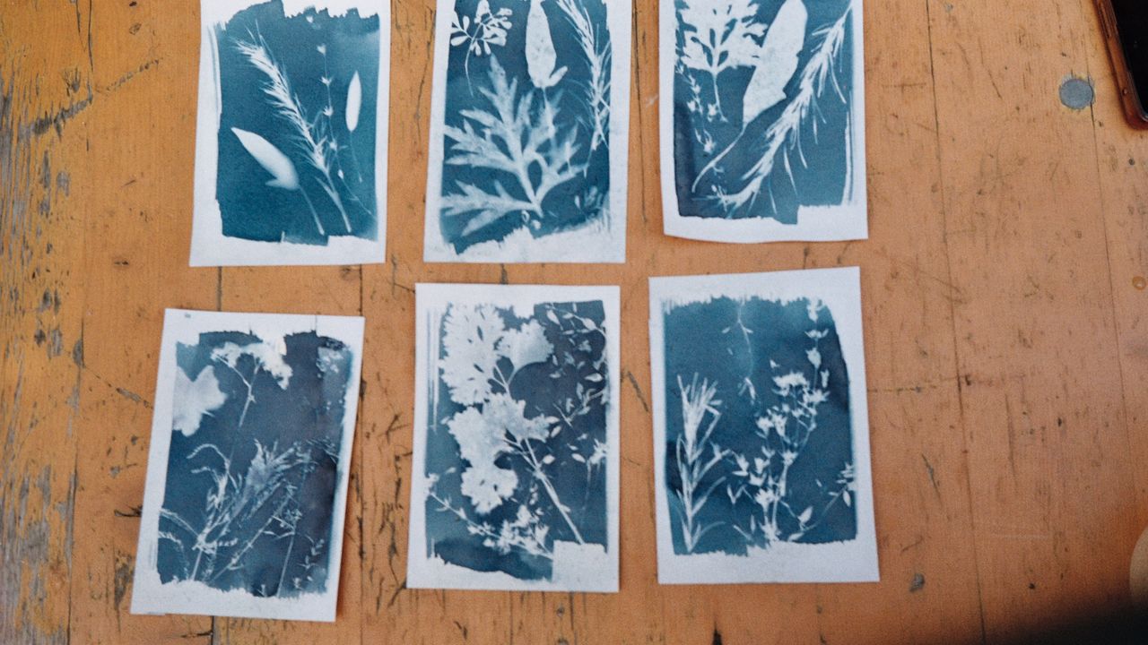 Cyanotype prints final result with plants